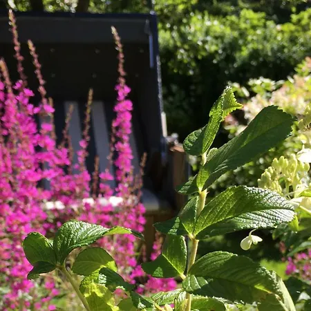 Ferien Domizil Waad Hus Keitum